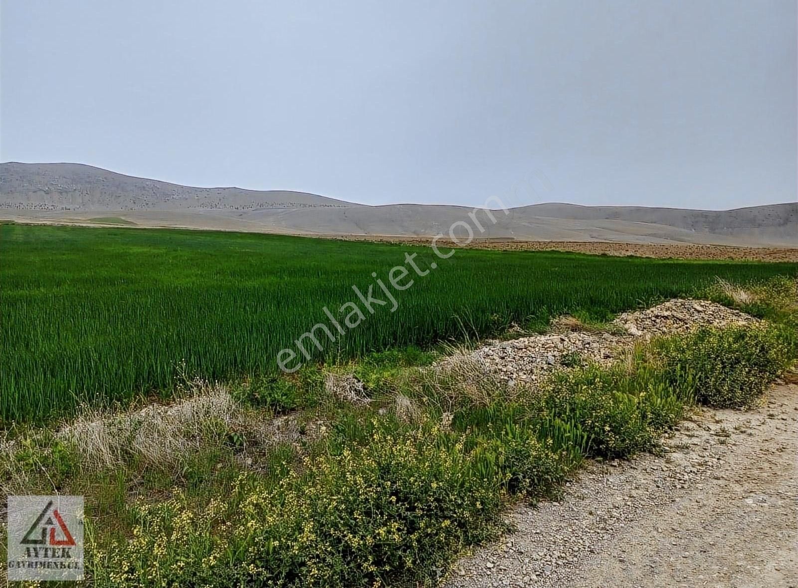 Afyonnkarahisar Sultandağı Cukurcak Köyünde Kelepir 13500 M2 - Görsel 7