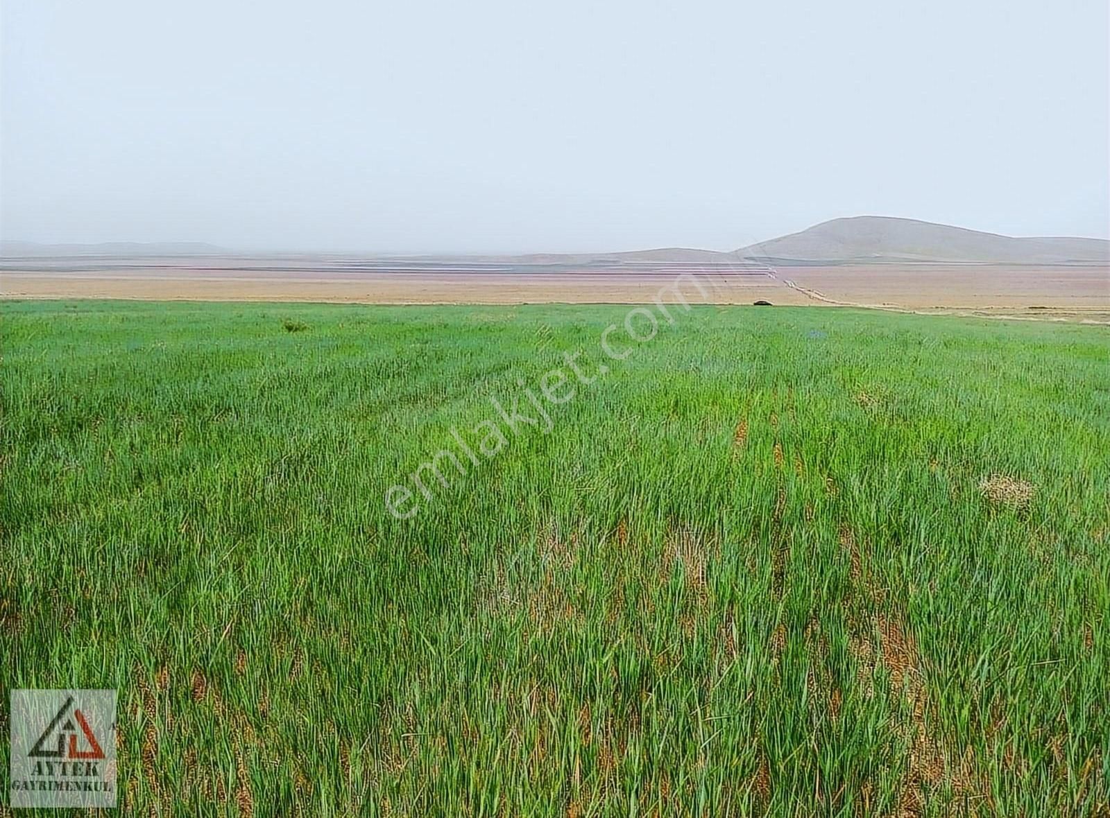 Afyonnkarahisar Sultandağı Cukurcak Köyünde Kelepir 13500 M2 - Görsel 27