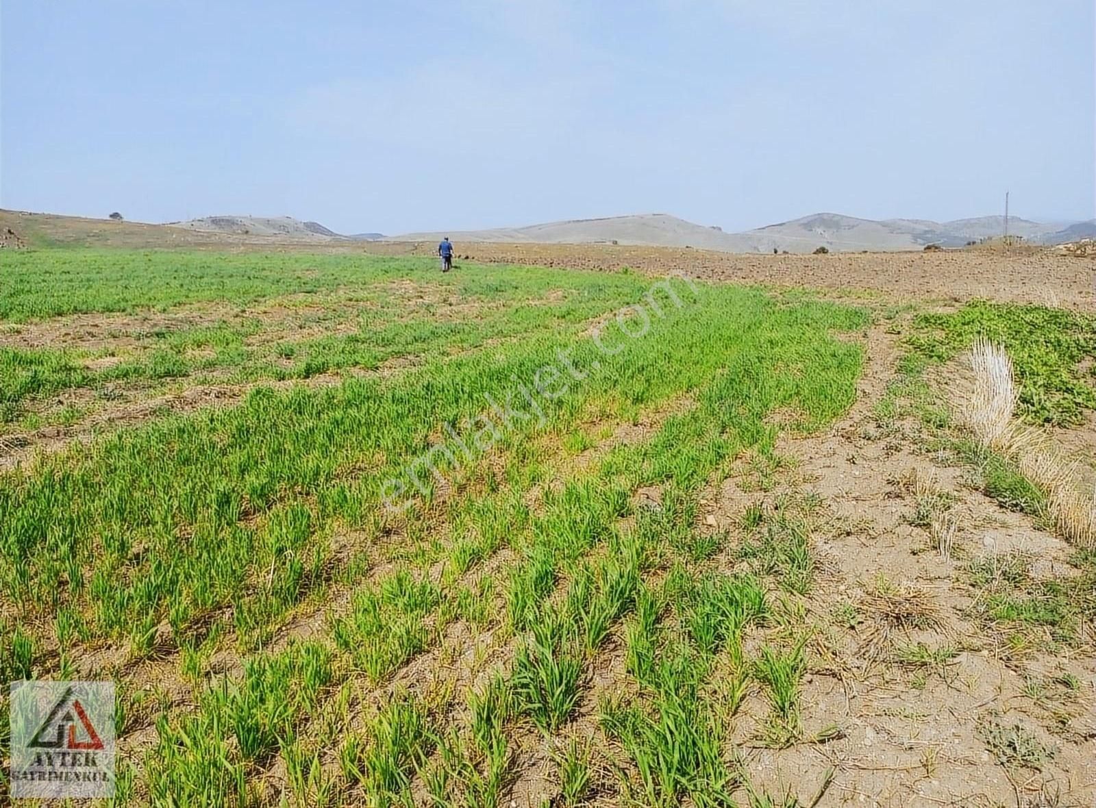 Sandıklı Karadirek Köyü (Hürriyet) Satılık Tarla Afyonkarahisar Sandıklı Karadirek Teada 0 Parsel 8800 M2 Tarla