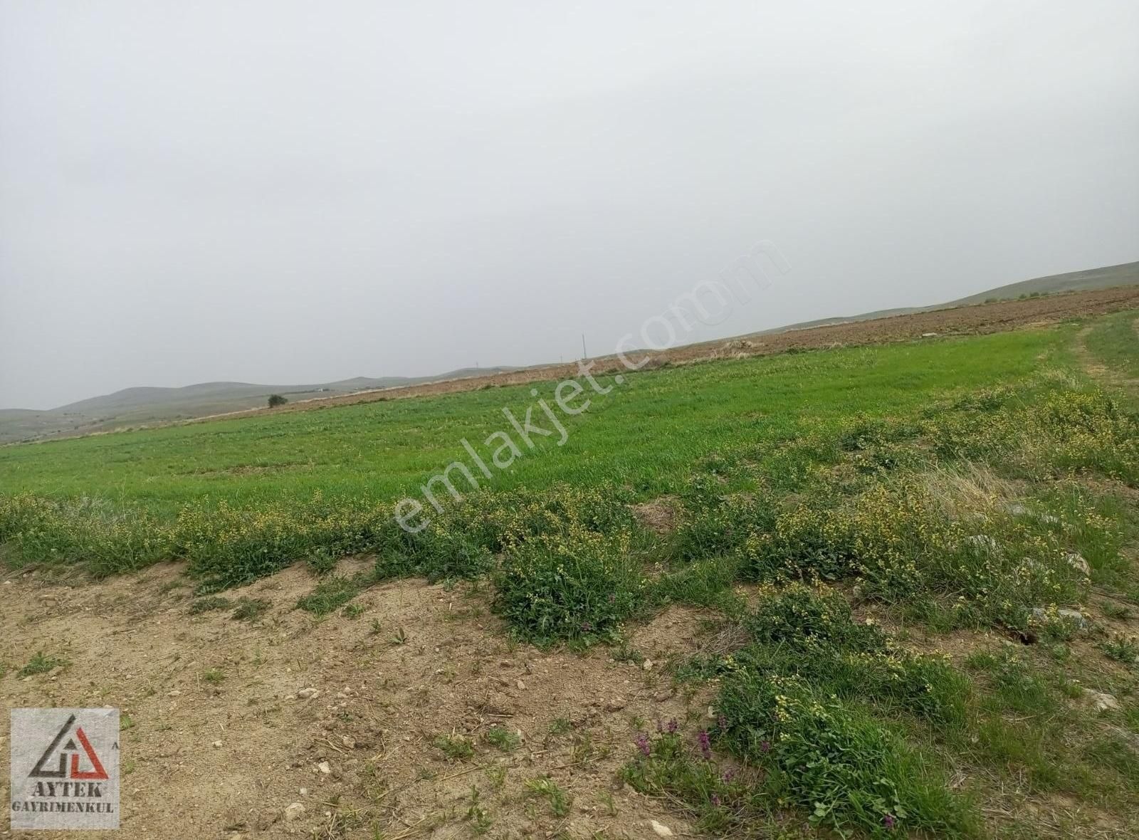 Afyonkarahisar Sultandağı Karapınar Cumhuriyet 5817 Tarla - Görsel 17