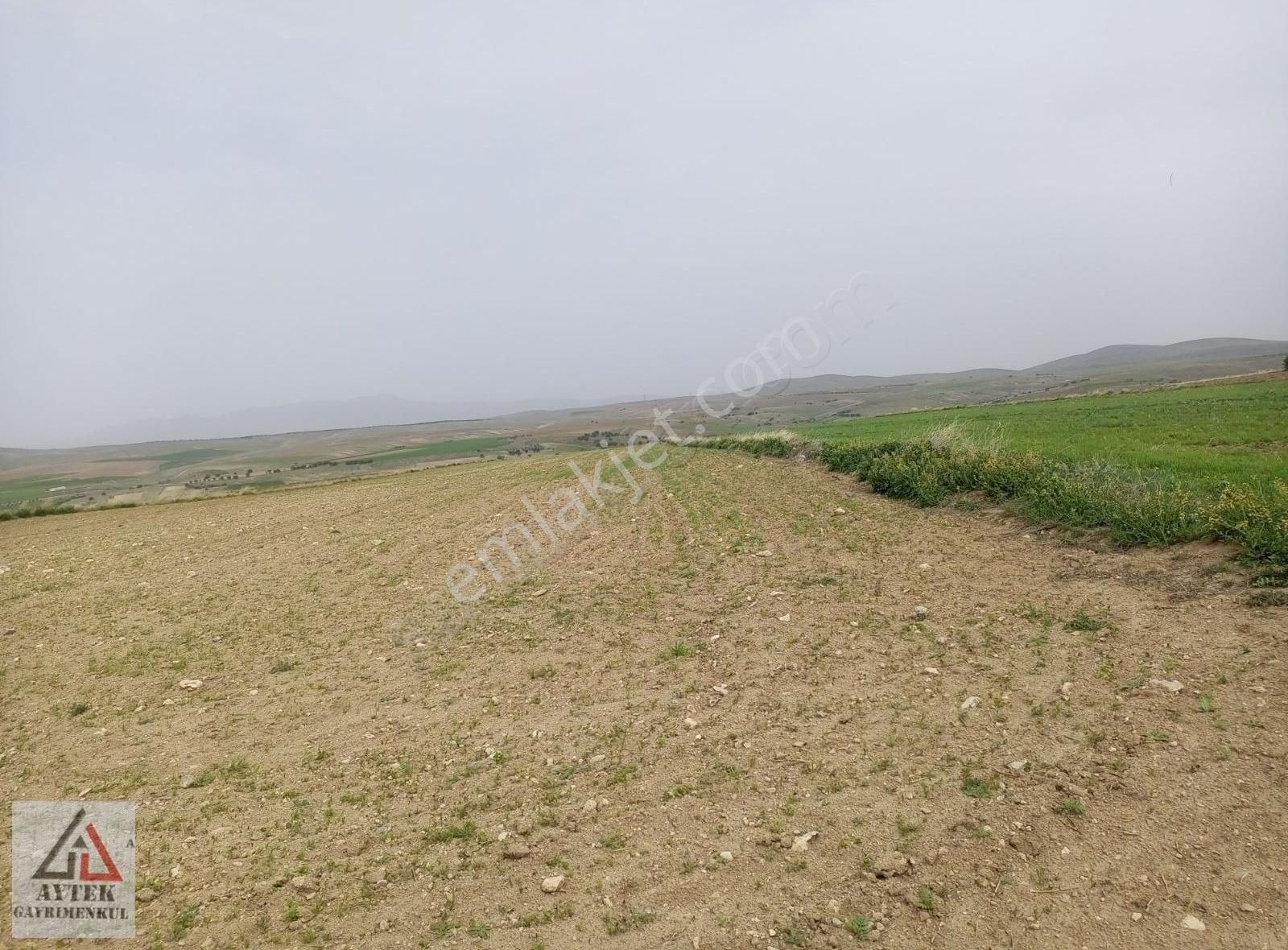 Afyonkarahisar Sultandağı Karapınar Cumhuriyet 5817 Tarla - Görsel 26
