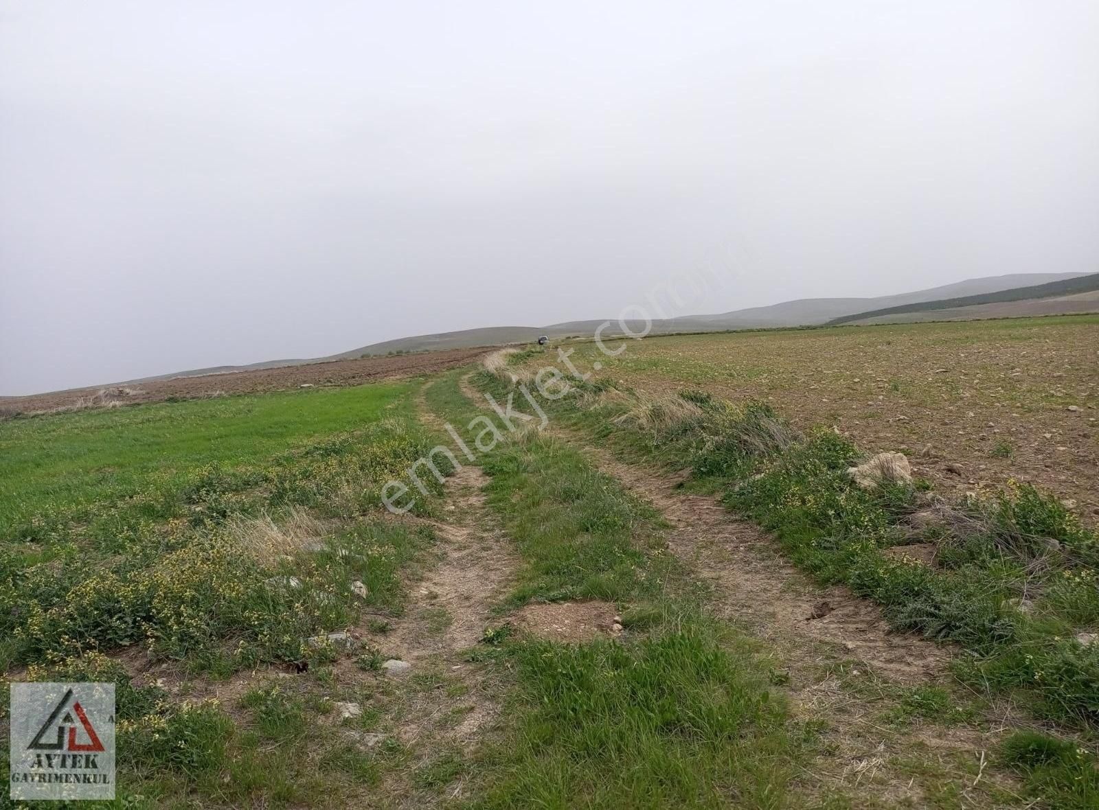 Afyonkarahisar Sultandağı Karapınar Cumhuriyet 5817 Tarla - Görsel 13