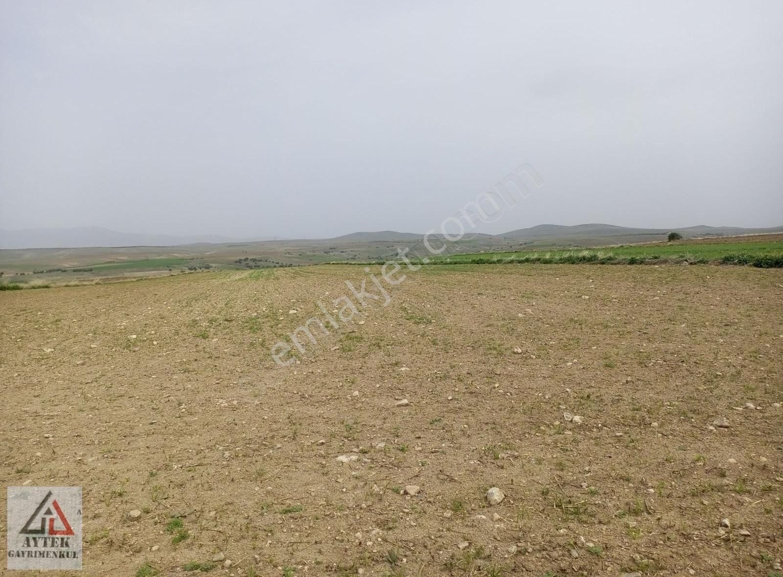 Afyonkarahisar Sultandağı Karapınar Cumhuriyet 5817 Tarla - Görsel 20