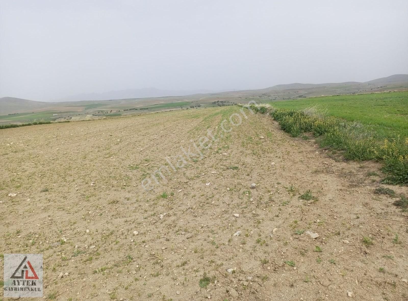 Afyonkarahisar Sultandağı Karapınar Cumhuriyet 5817 Tarla - Görsel 22