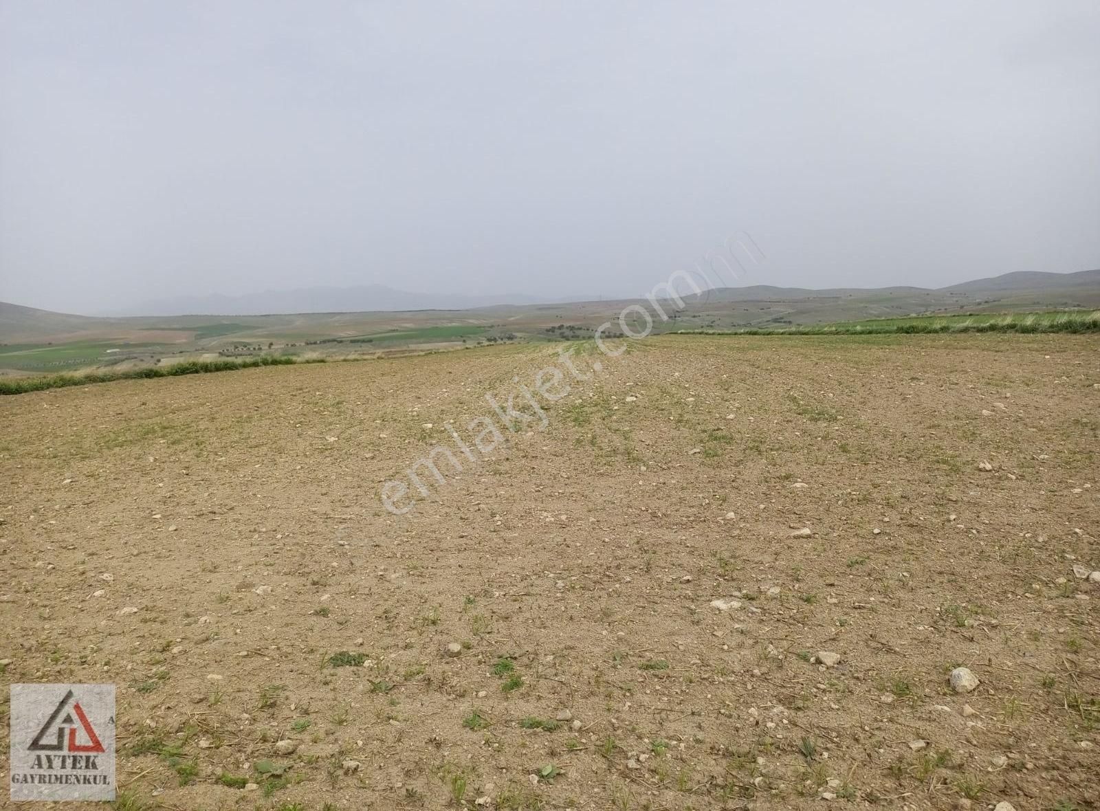 Afyonkarahisar Sultandağı Karapınar Cumhuriyet 5817 Tarla - Görsel 19