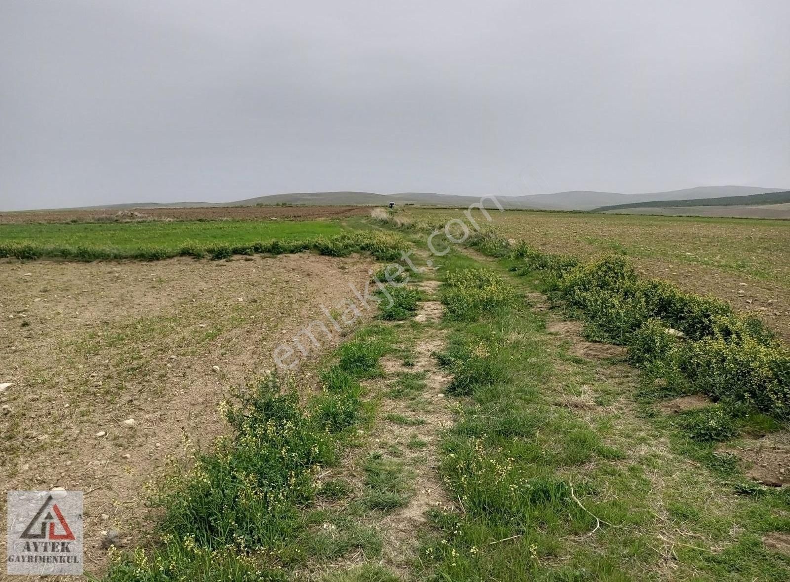 Afyonkarahisar Sultandağı Karapınar Cumhuriyet 5817 Tarla - Görsel 3