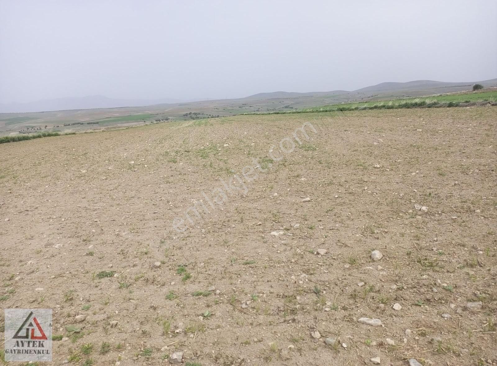 Afyonkarahisar Sultandağı Karapınar Cumhuriyet 5817 Tarla - Görsel 6