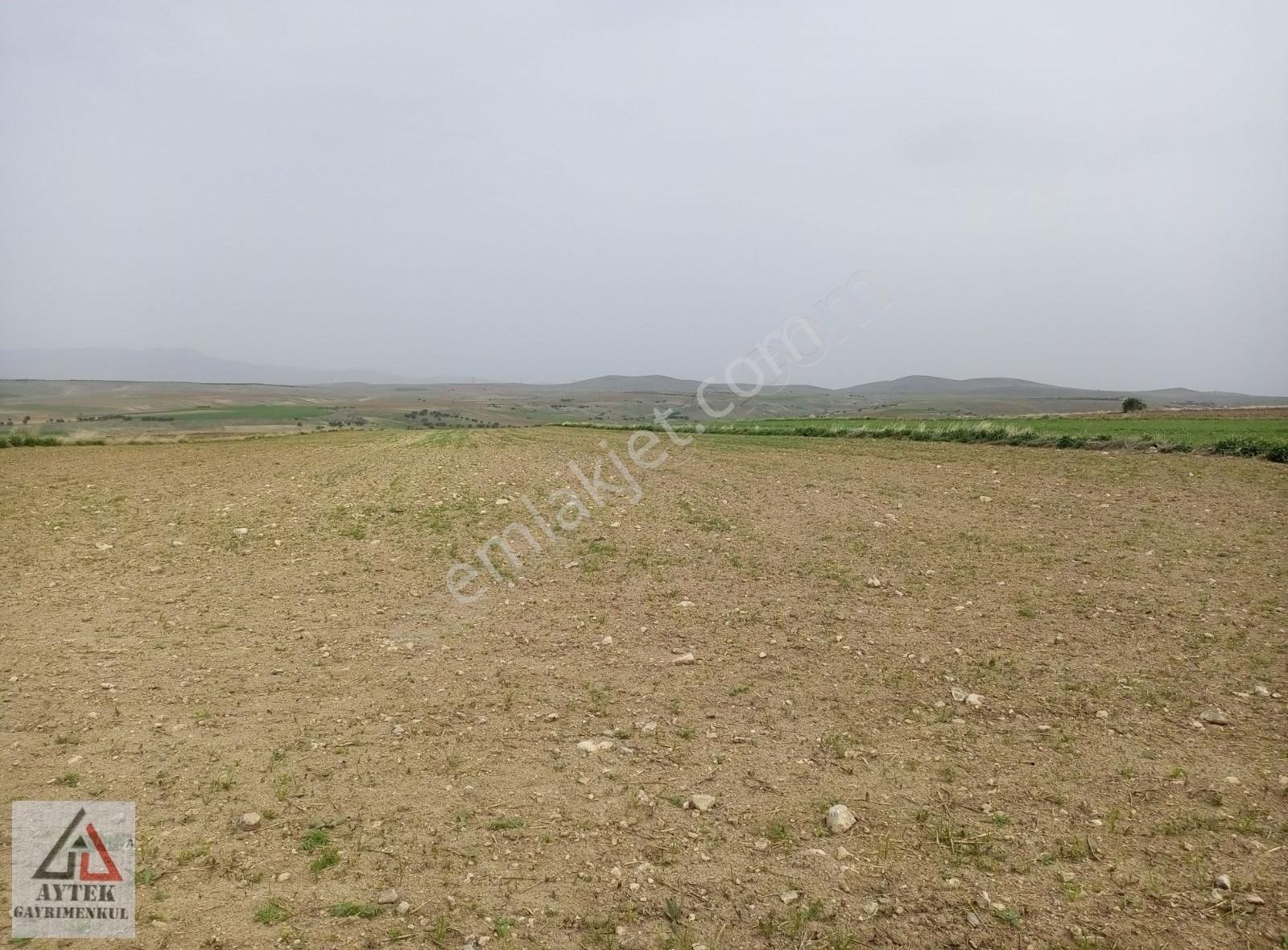 Afyonkarahisar Sultandağı Karapınar Cumhuriyet 5817 Tarla - Görsel 2