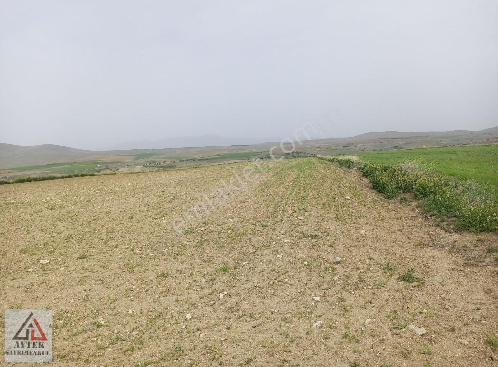 Afyonkarahisar Sultandağı Karapınar Cumhuriyet 5817 Tarla - Görsel 28