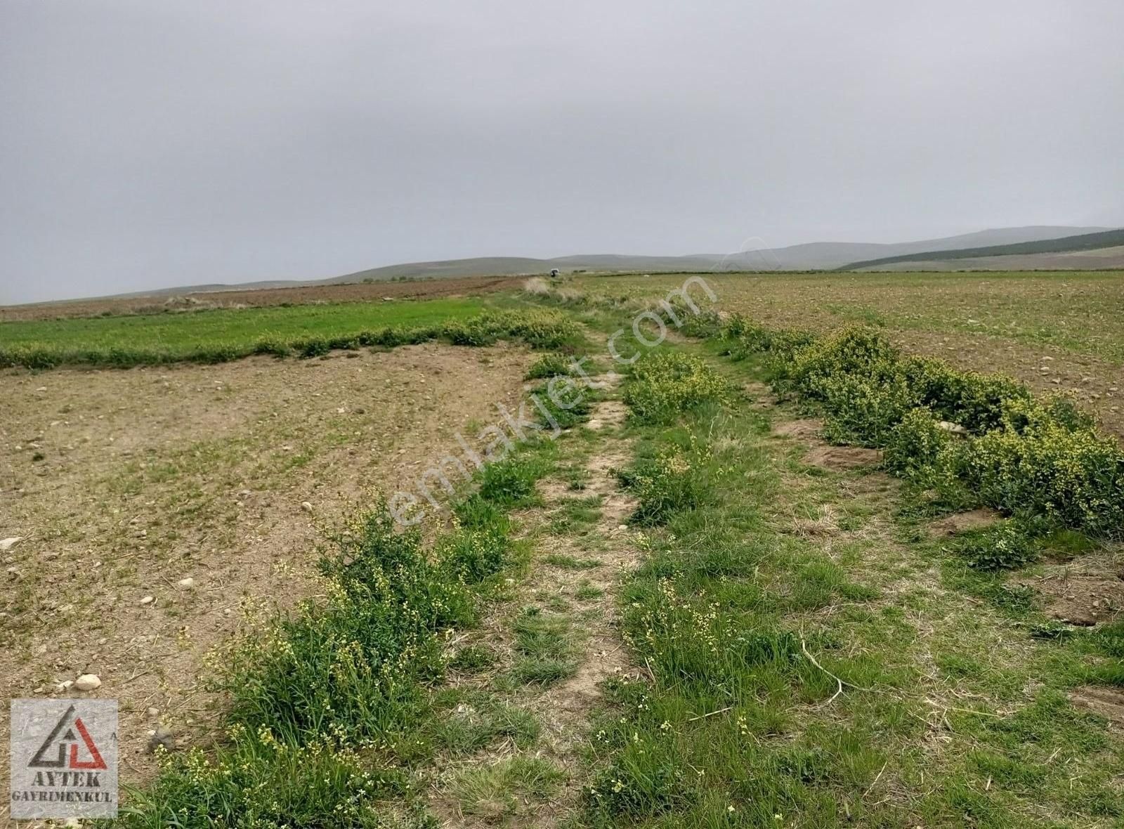 Afyonkarahisar Sultandağı Karapınar Cumhuriyet 5817 Tarla - Görsel 15