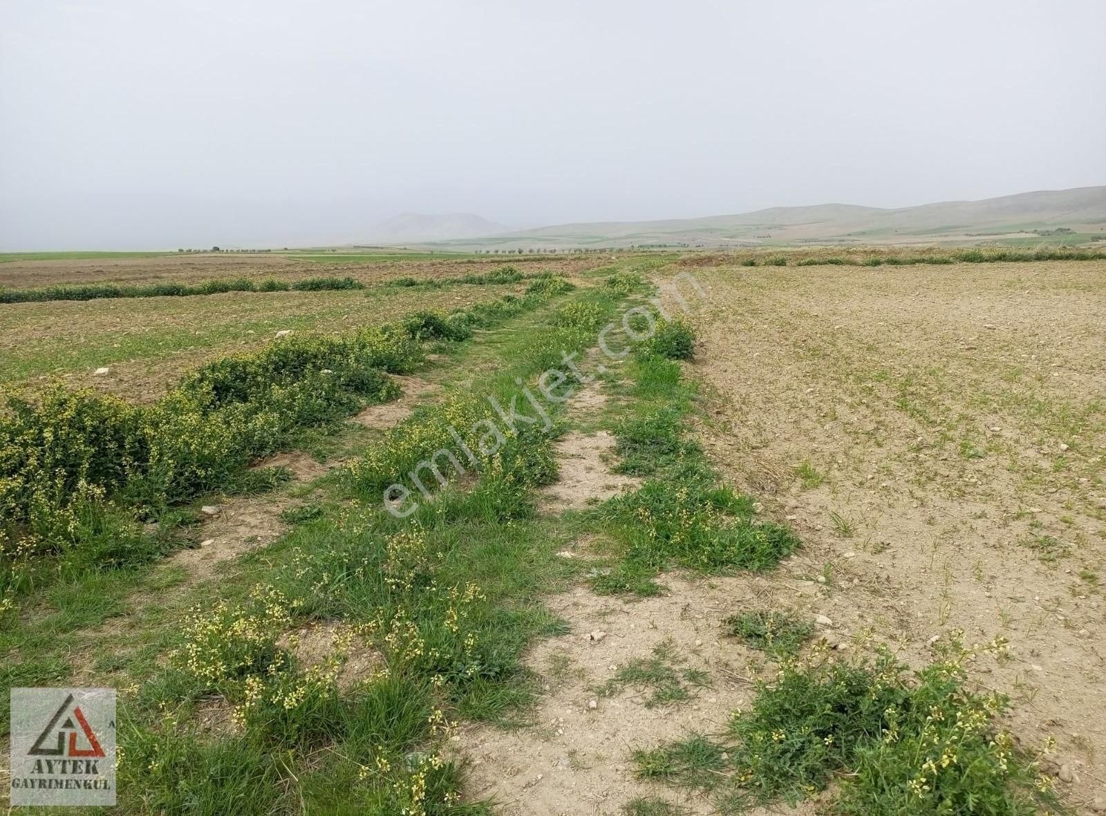 Afyonkarahisar Sultandağı Karapınar Cumhuriyet 5817 Tarla - Görsel 25