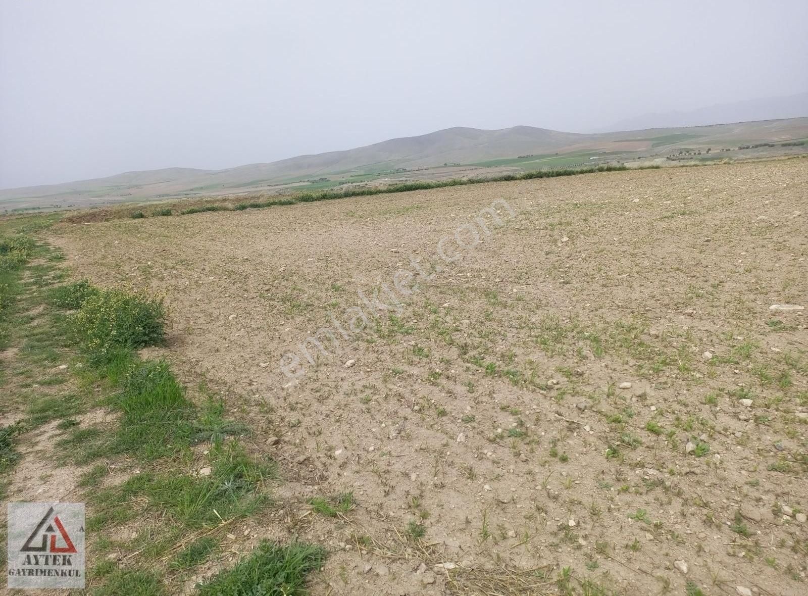 Afyonkarahisar Sultandağı Karapınar Cumhuriyet 5817 Tarla - Görsel 5