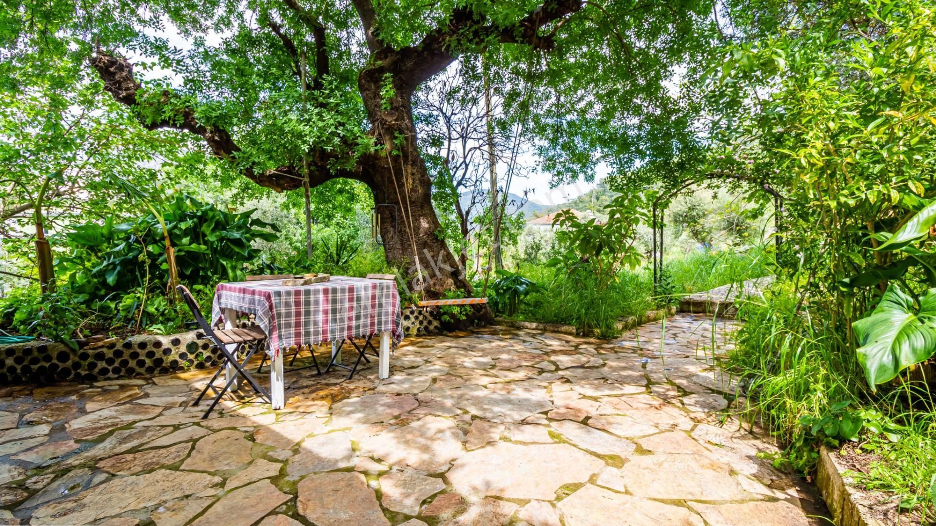 Dalyan Gökbelde Satılık 2 Konut Ve 1 Adet İşletme Fırsatı(gbk02) - Görsel 12