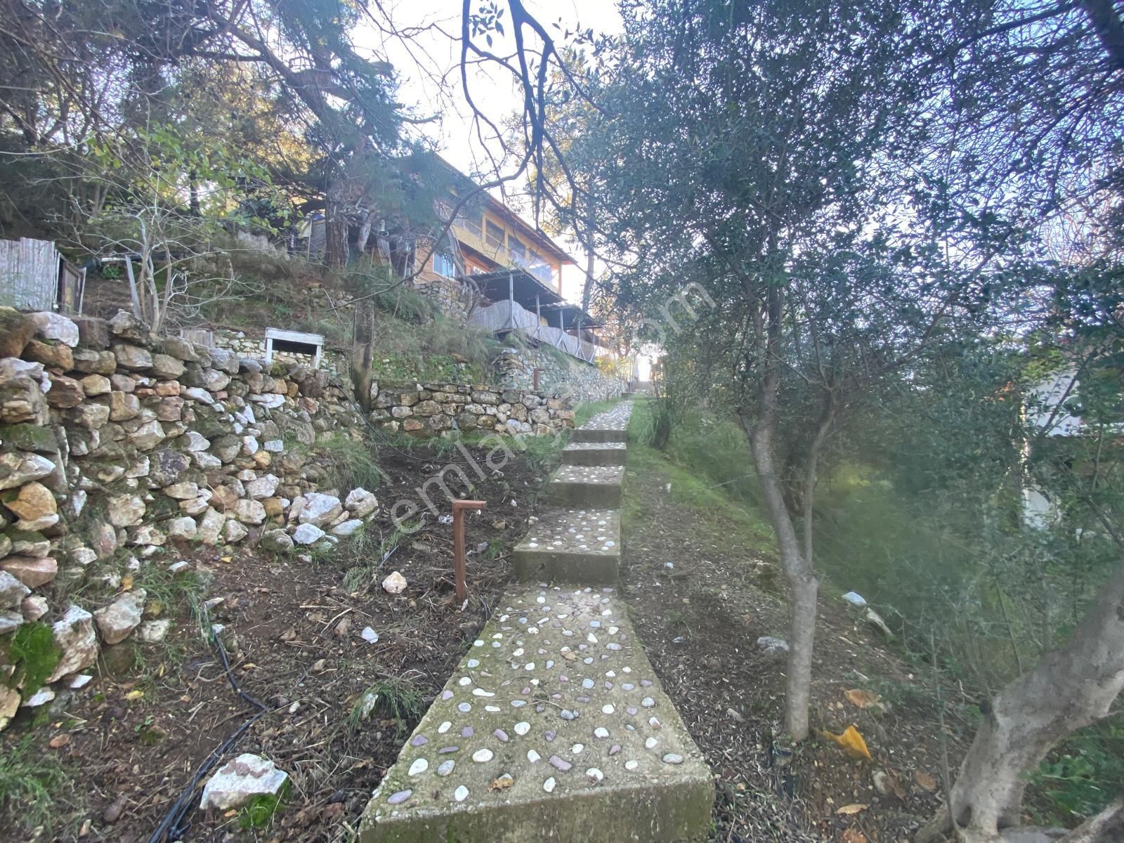 Dalyan Gökbelde Satılık 2 Konut Ve 1 Adet İşletme Fırsatı(gbk02) - Görsel 8