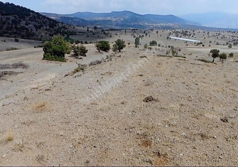 Seydikemer Yayla Karaçulha Satılık Tarla Mercan Gayrimenkul'den Yayla Karaçulhada 2b Müstakil 907m2 Tarla