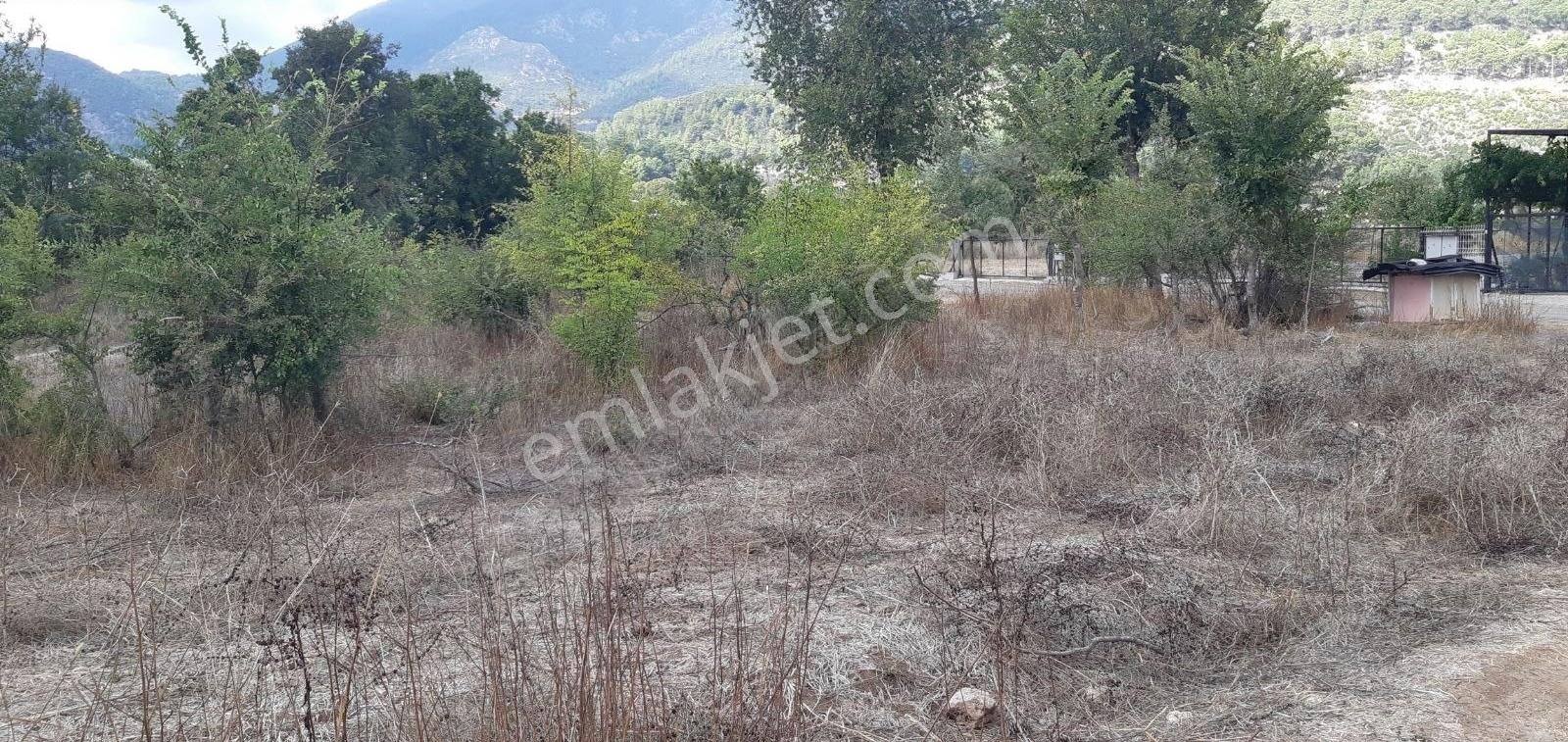 Fethiye İncirköy Satılık Tarla Mercan Gayrimenkul'den İncirköyde Mustakil Tapu 1.765m2 Tarla