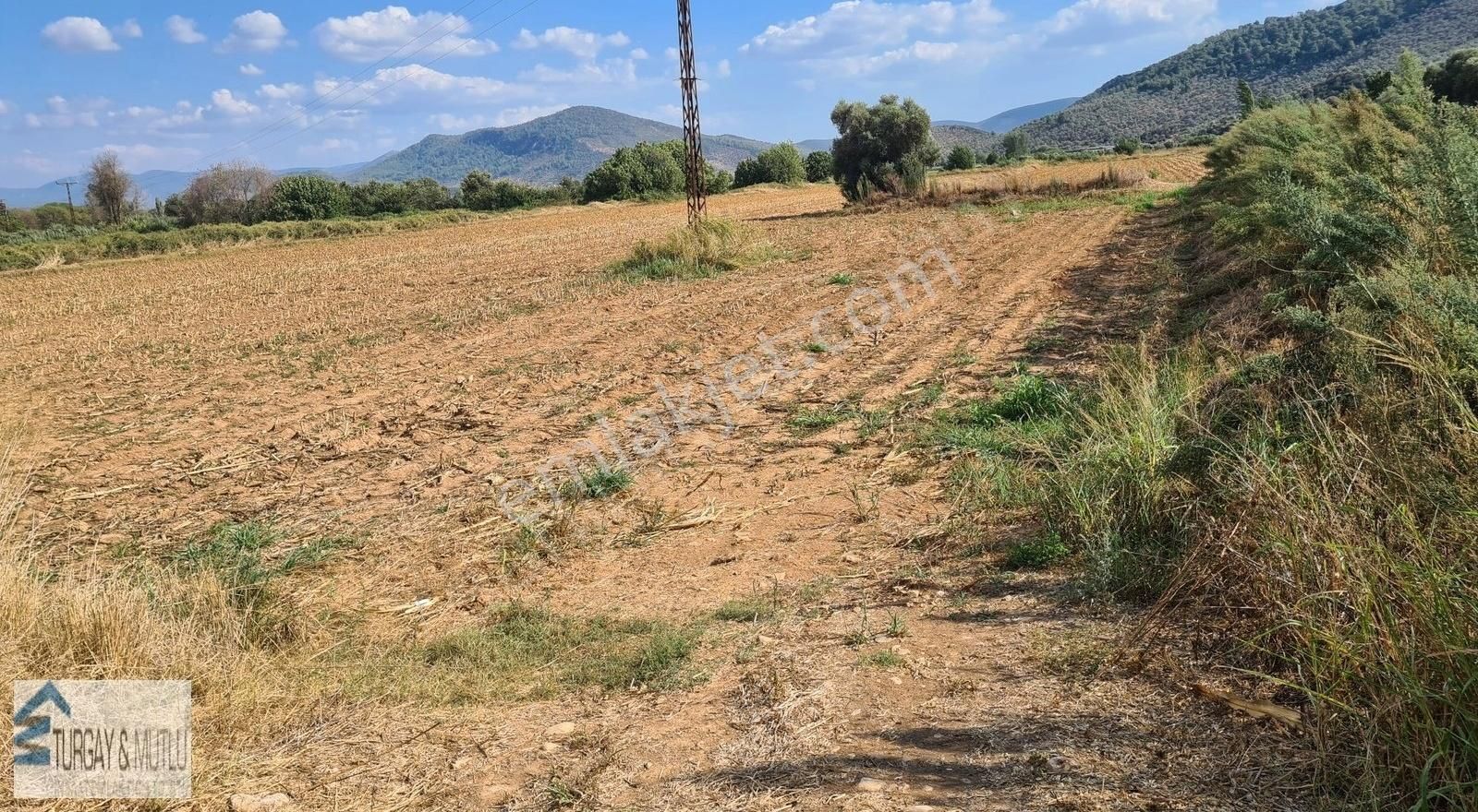 Milas Hisarcık Satılık Tarla Milas Hisarcık'da Kadastral Yola Cepheli Mükemmel Tarla