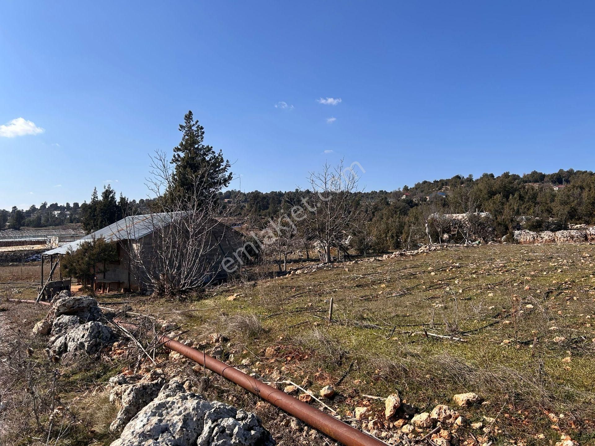 Erdemli Kızılen Satılık Tarla Çortul View 'den Kızılen Yaylası 1200 M2 Köy İçi Hazır Ev Yeri Parsel