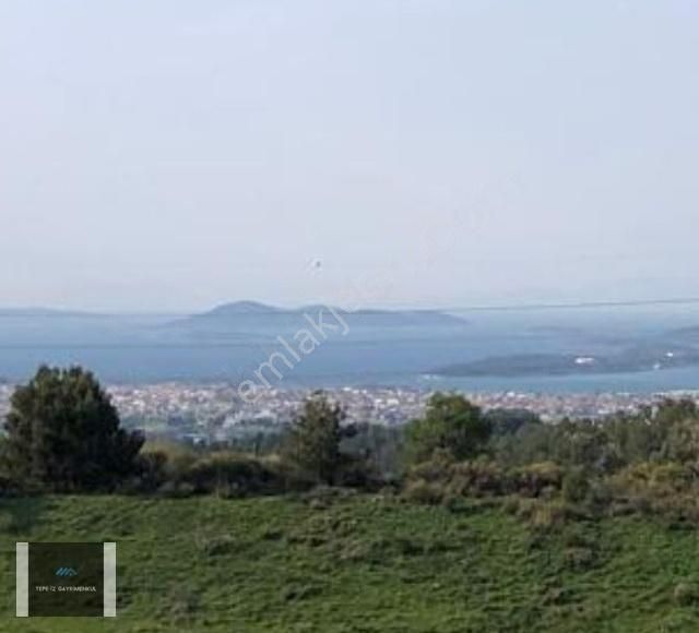 Urla Yenikent Full Deniz Manzara 1/1000 Planda %7 İmarlı Tarla - Görsel 4