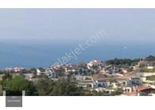 Urla Yenikent Satılık Villa İmarlı Urla Yenikent Full Deniz Manzara 1/1000 Planda %7 İmarlı Tarla