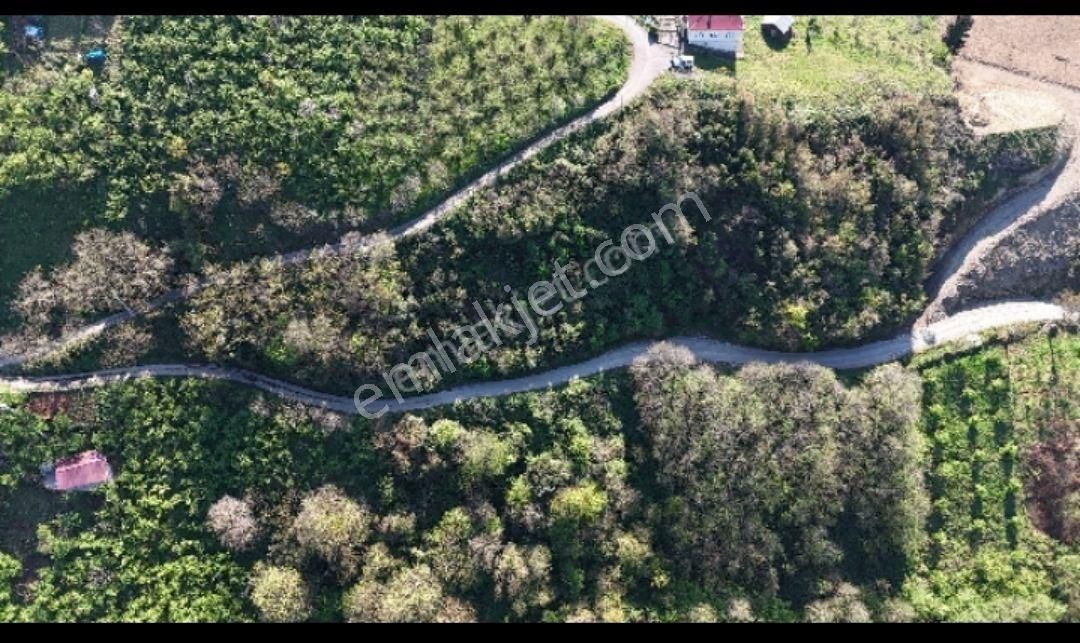 Ortahisar Karşıyaka Satılık Bağ & Bahçe Doğanın Güzelliğini Ve Değere Bulduğu Yer