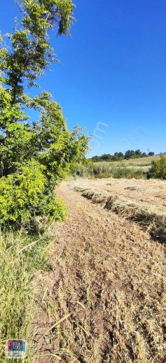 Mustafakemalpaşa Paşalar Satılık Tarla Dialog Baki'den Bursa M.kemalpaşa Paşalar Köyünde Satılık Tarla