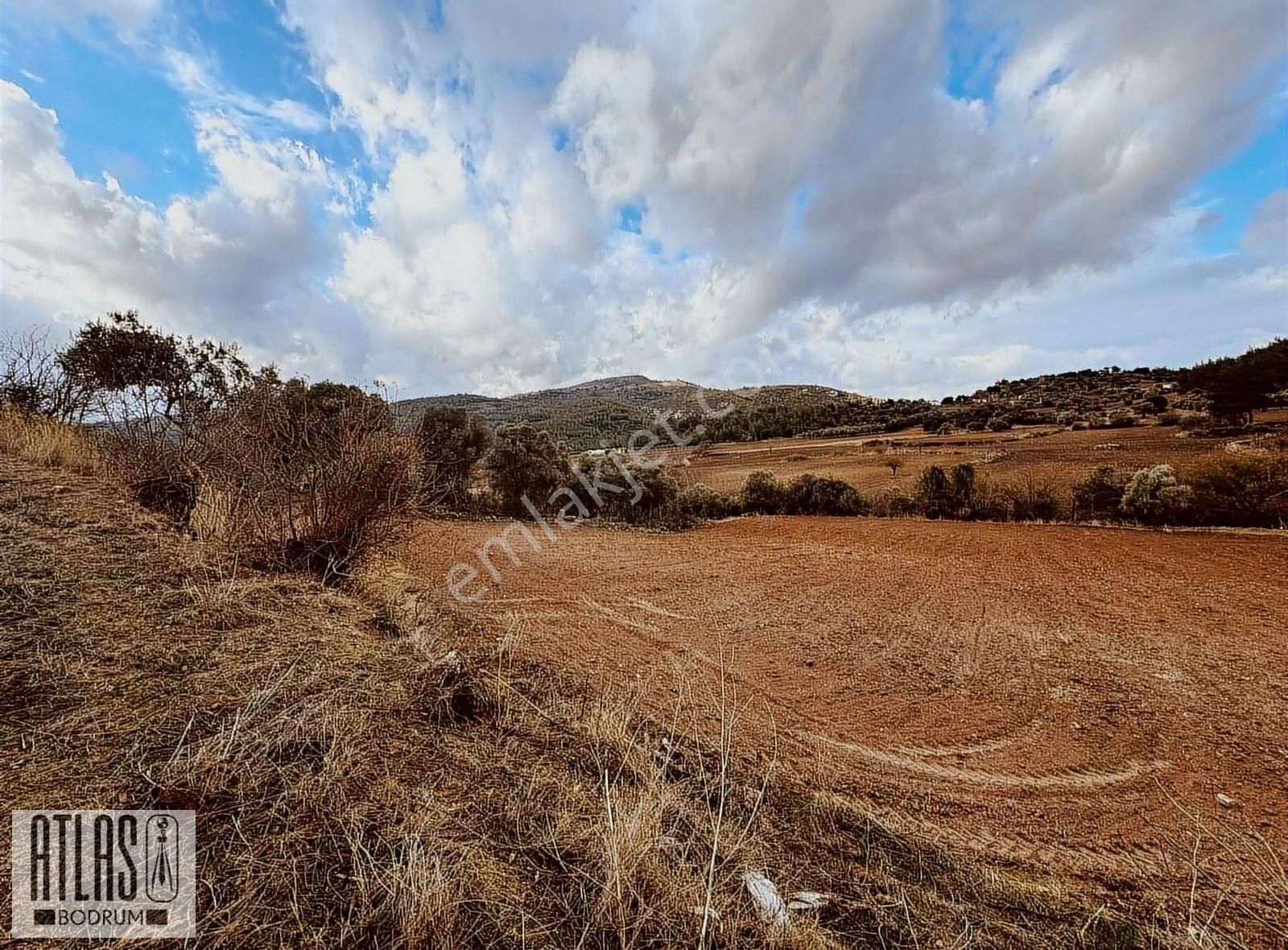 Milas Çamovalı Satılık Tarla Milas Çamovalı'nda İçine Yapı Yapılabilir 8000 M² Tarla Ve Bağ