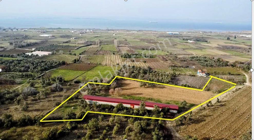 Lapseki Çardak Bld. (Tekke) Satılık Tarla Çanakkale Çardak'da 10.422 M2 Tarla/bağ Ve 600m2 Kapalı Alan