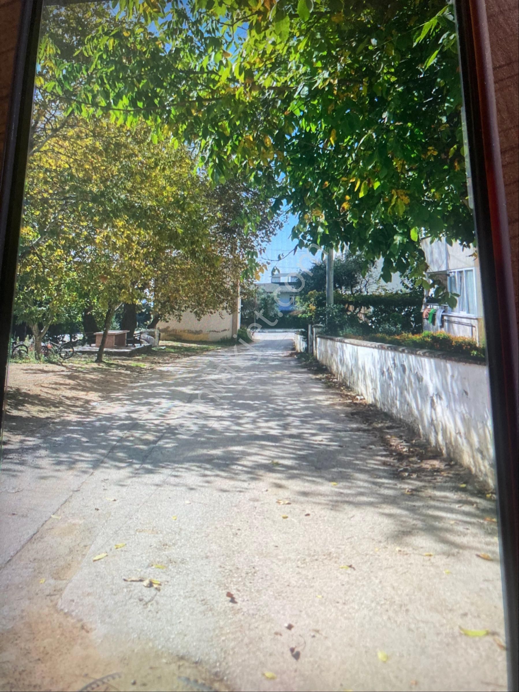 Armutlu Denize 100 M Masrafsız Kombili Eşyalı Daire - Görsel 3