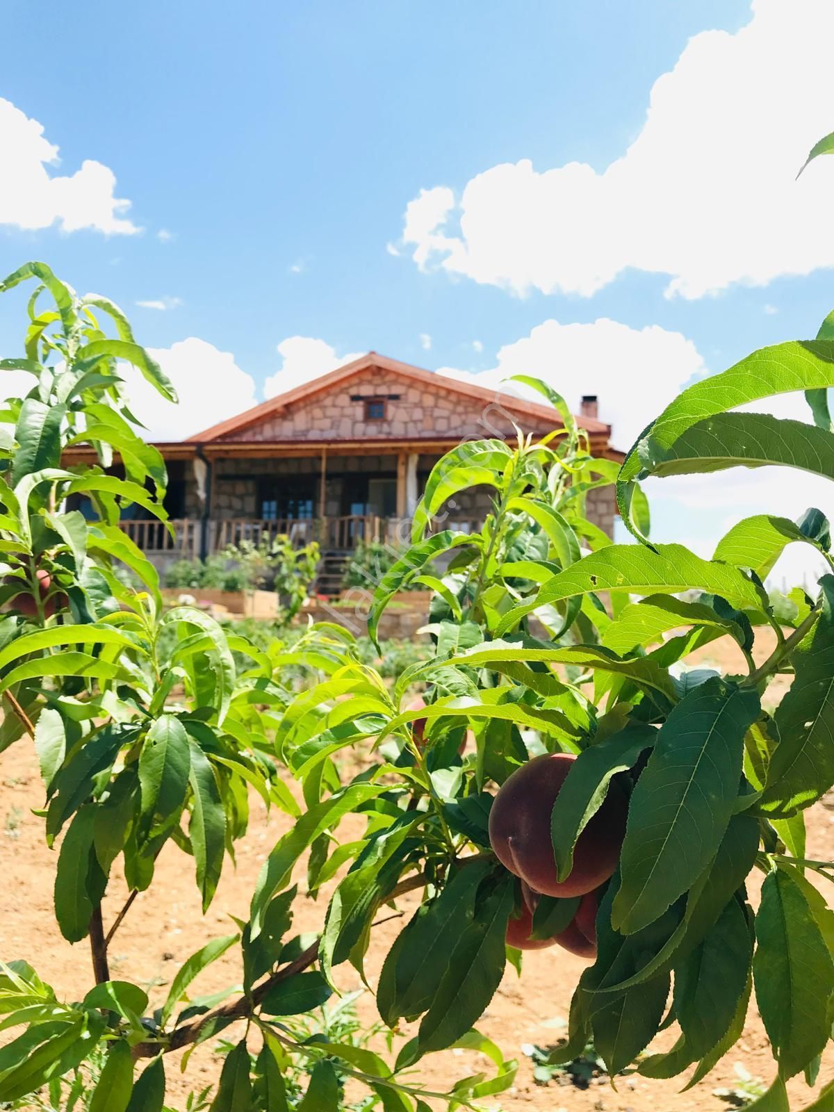 Hayallerinizin Ötesinde Ki Müstakil Evimizi Görmek İster Misiniz - Görsel 3