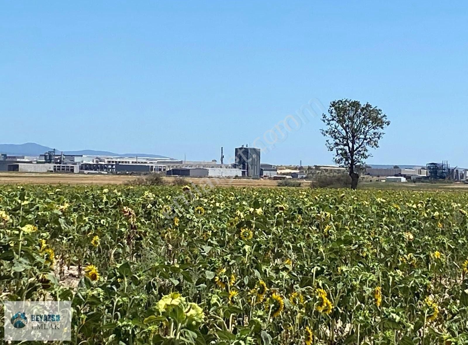 Kırklareli Merkez Kızılcıkdere Köyü Satılık Tarla Kırklareli Sanayisine 1.500 Metre Mesafede Tek Tapu Tarla