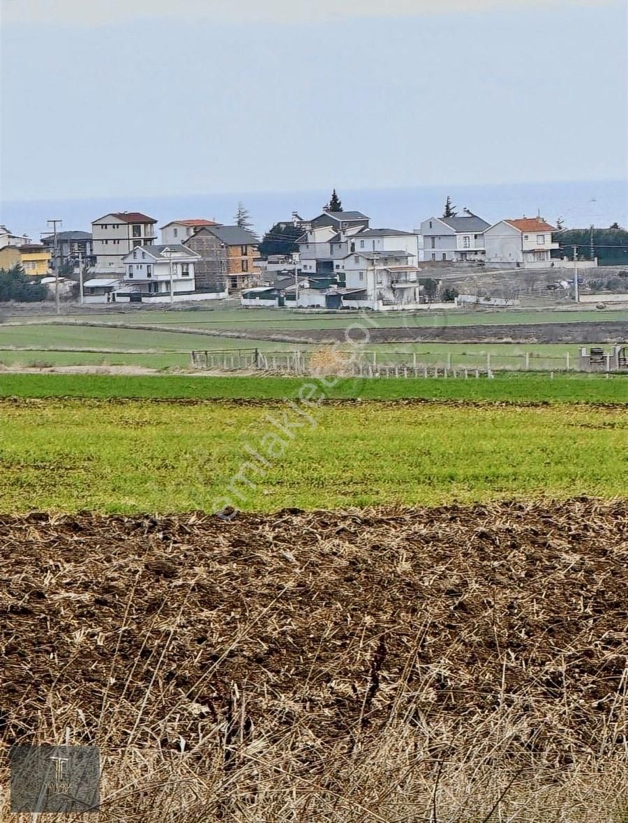 Tekirdağ Marmaraereğlisi Çeşmeli De Satılık Arsa - Görsel 7