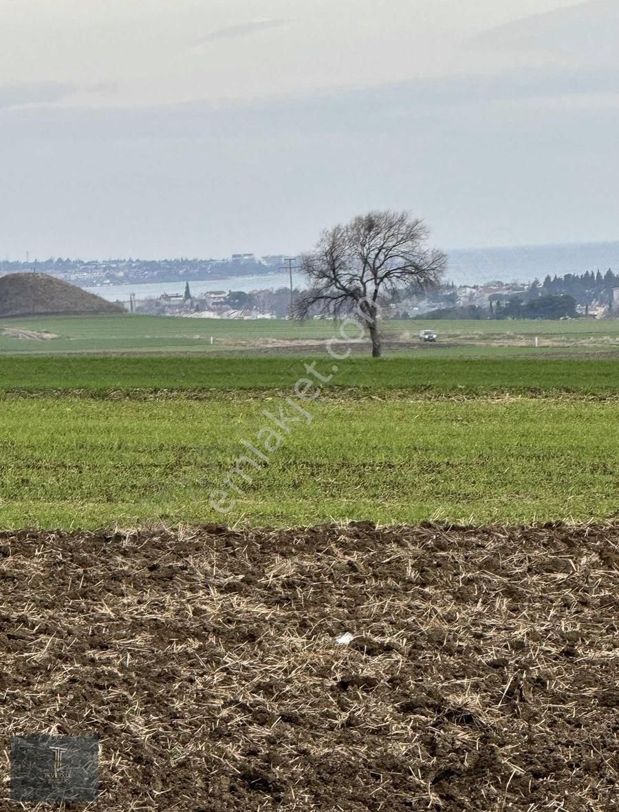 Tekirdağ Marmaraereğlisi Çeşmeli De Satılık Arsa - Görsel 4