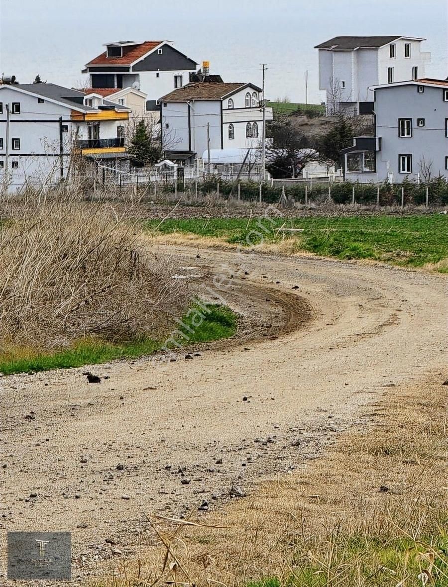 Tekirdağ Marmaraereğlisi Çeşmeli De Satılık Arsa - Görsel 5