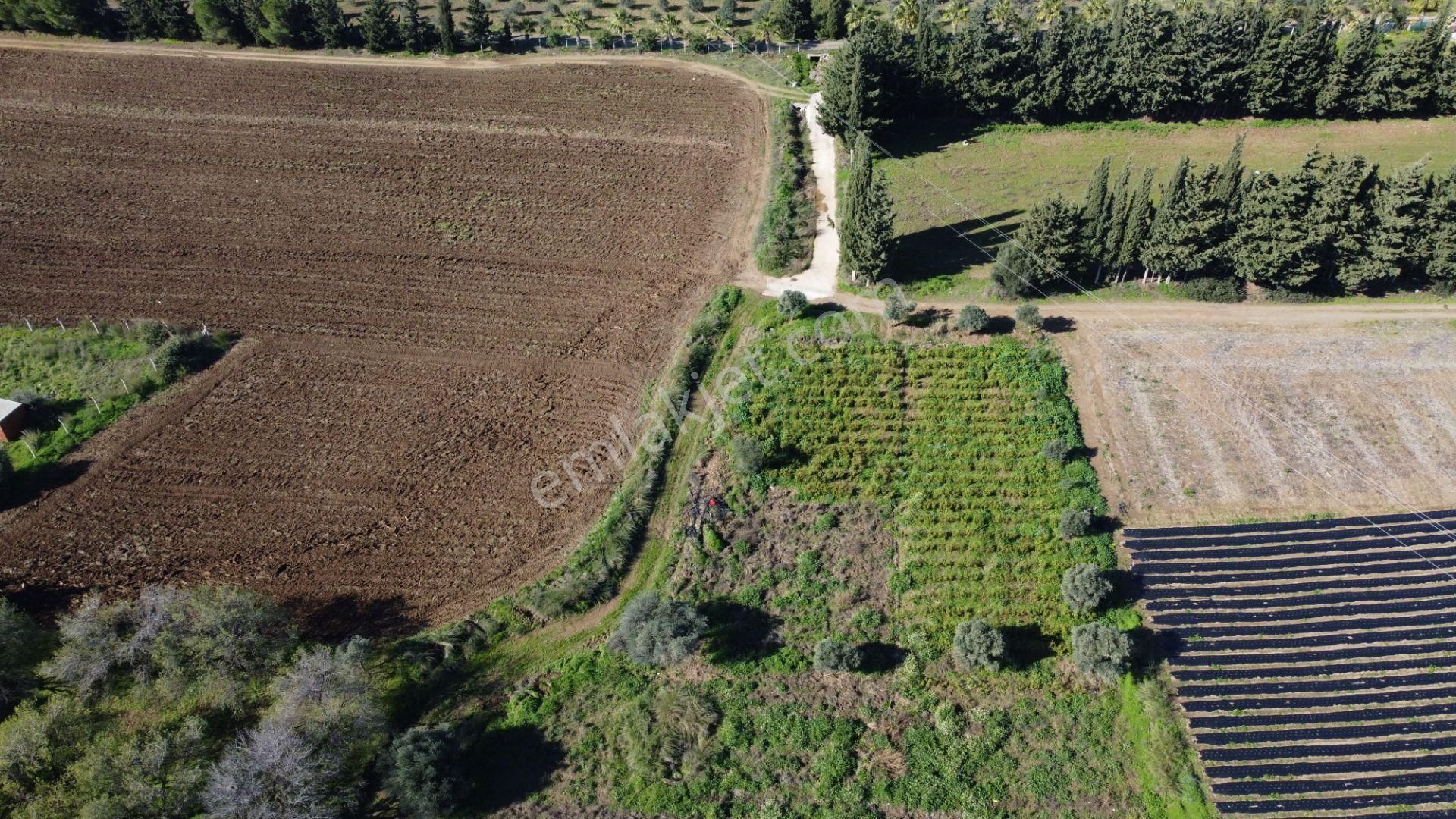 Rest Emlak- Kızlan Mah. Yakın Yolu Olan Fırsat Tarla - Görsel 17