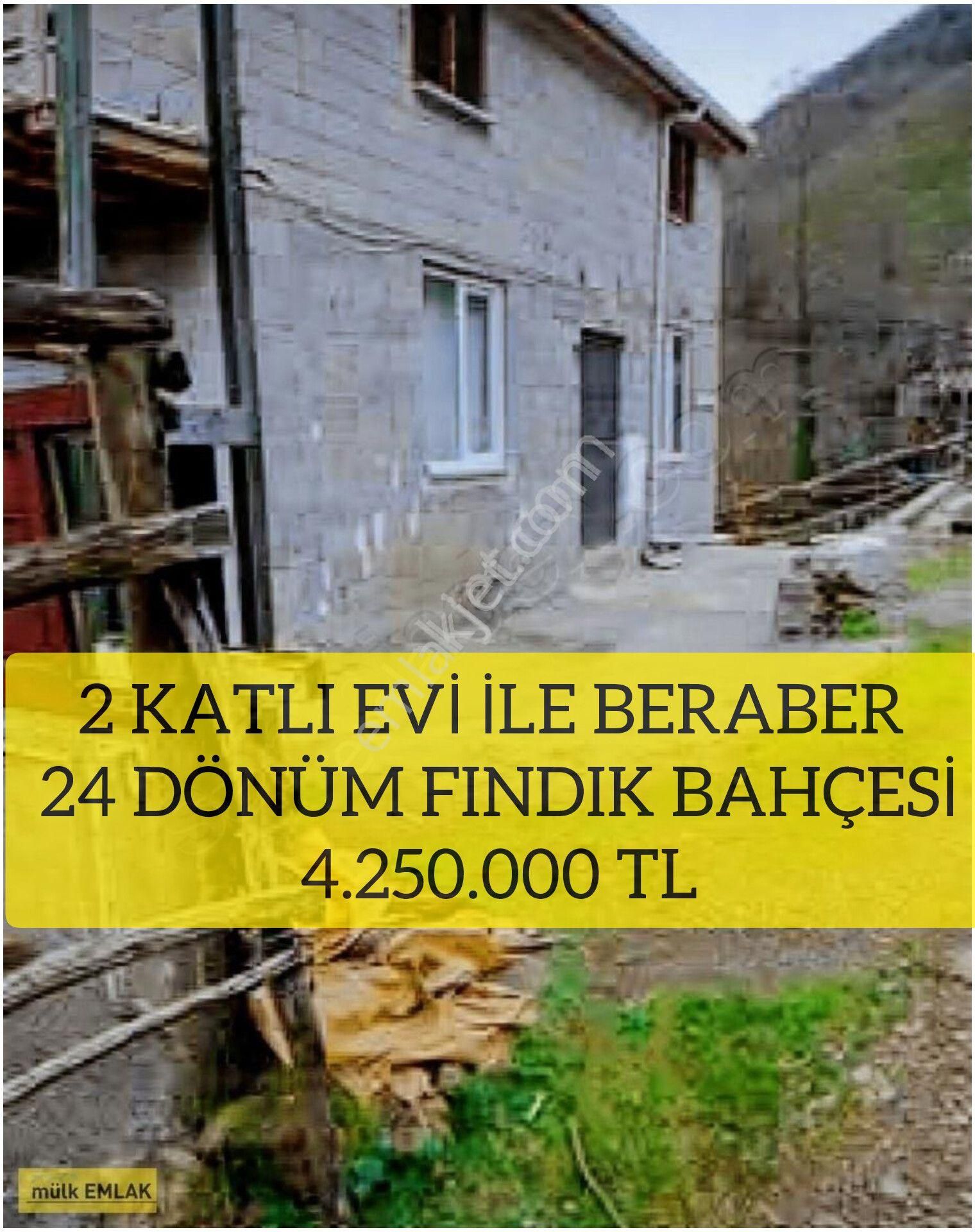 Bulancak Ardahan Köyü Satılık Bağ & Bahçe (18 )2 Katlı Evi İle Beraber24 Dönüm Fındık Bahçesi 4250 Bin Tl'ye S