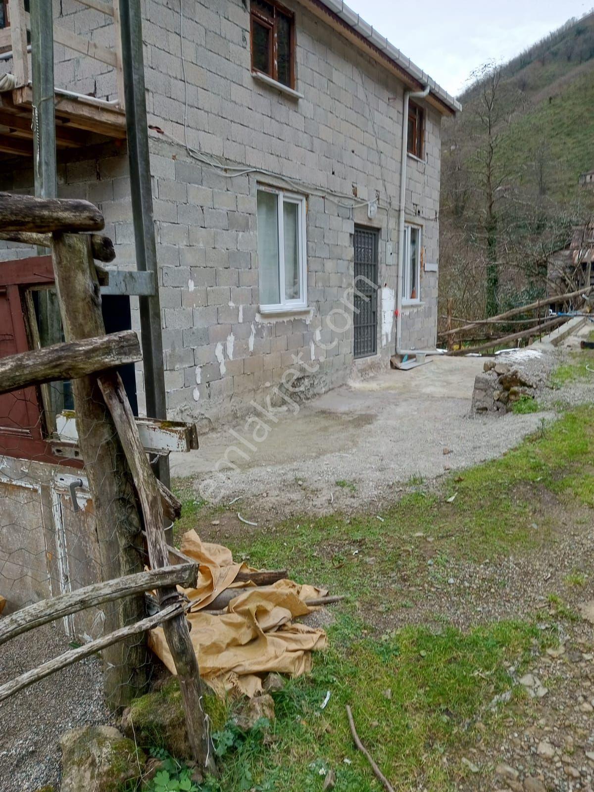 (18 )2 Katlı Evi İle Beraber24 Dönüm Fındık Bahçesi 4250 Bin Tl'ye S - Görsel 6