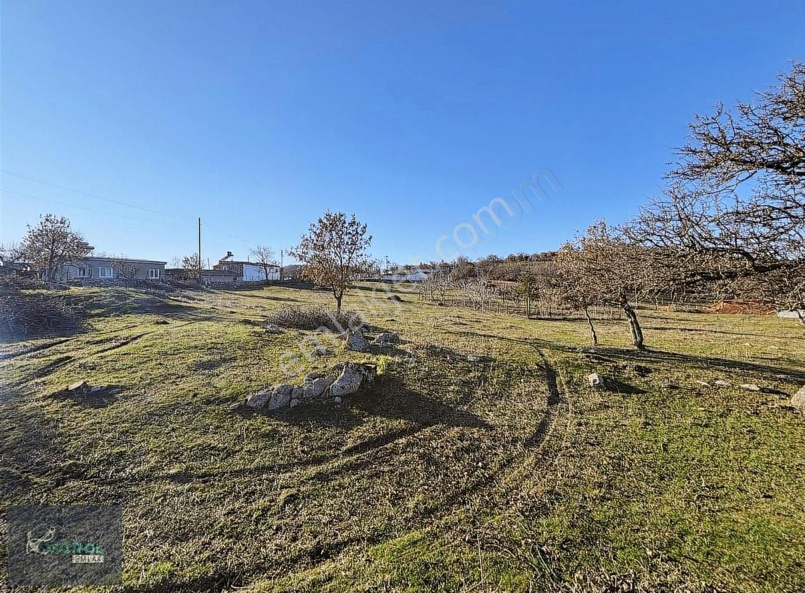 Ayvacık Şapköy'de 950m² Köy İmarlı Arsa - Görsel 2