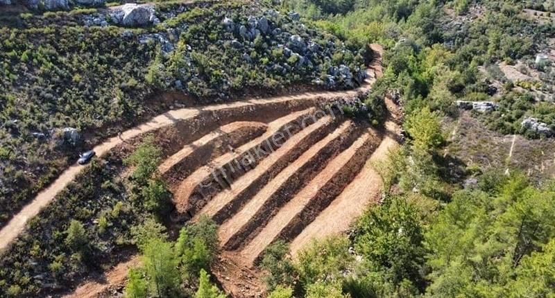 Satılık Alanya Fakırcalı 1.913 M2 Çay Kenarı Tarla - Görsel 4