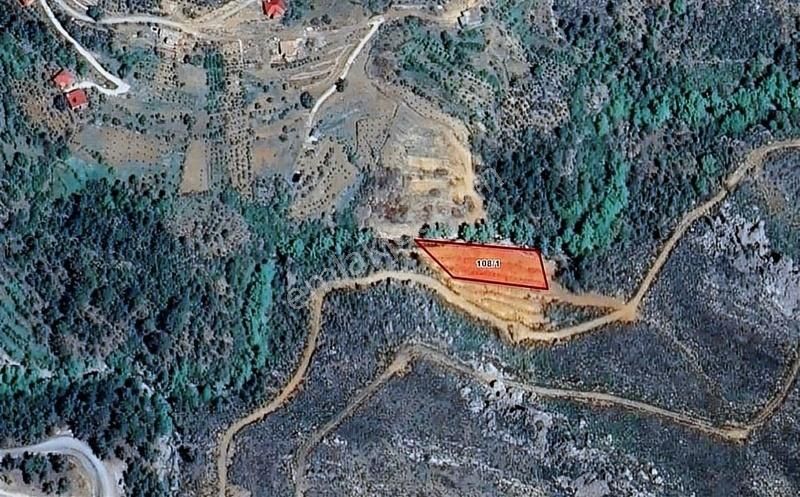 Satılık Alanya Fakırcalı 1.913 M2 Çay Kenarı Tarla - Görsel 7