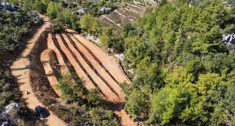 Satılık Alanya Fakırcalı 1.913 M2 Çay Kenarı Tarla - Görsel 9