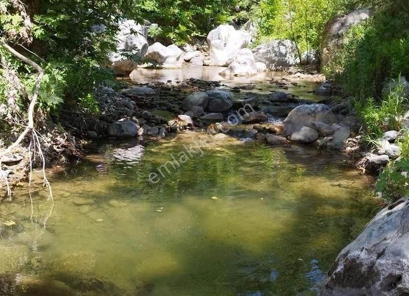Satılık Alanya Fakırcalı 1.913 M2 Çay Kenarı Tarla - Görsel 5