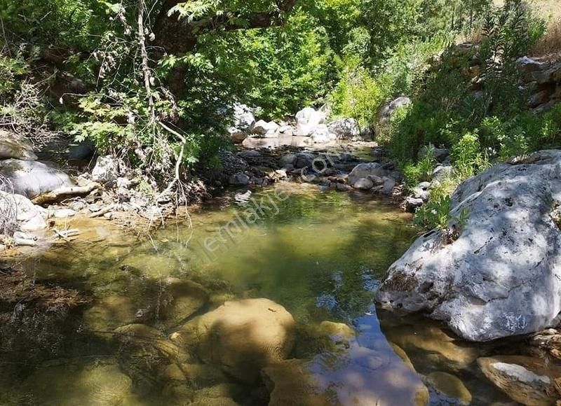Satılık Alanya Fakırcalı 1.913 M2 Çay Kenarı Tarla - Görsel 3