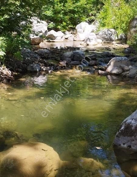 Satılık Alanya Fakırcalı 1.913 M2 Çay Kenarı Tarla - Görsel 6