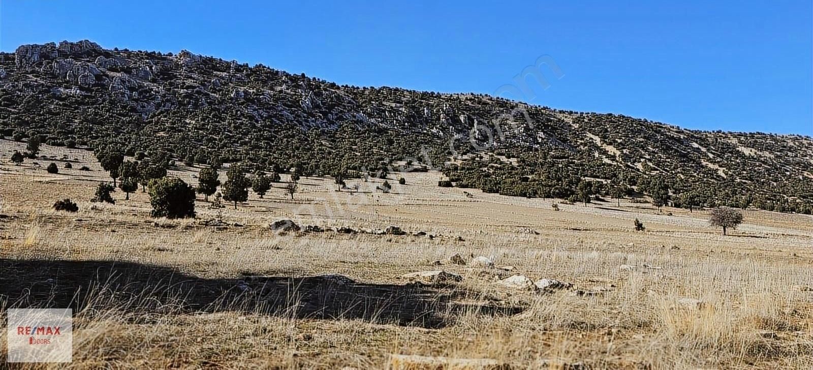 Korkuteli Sımandır Satılık Tarla Korkuteli Simandır Ulucak Köyü Mevkiinde 15.405 M2 Satılık Tarla