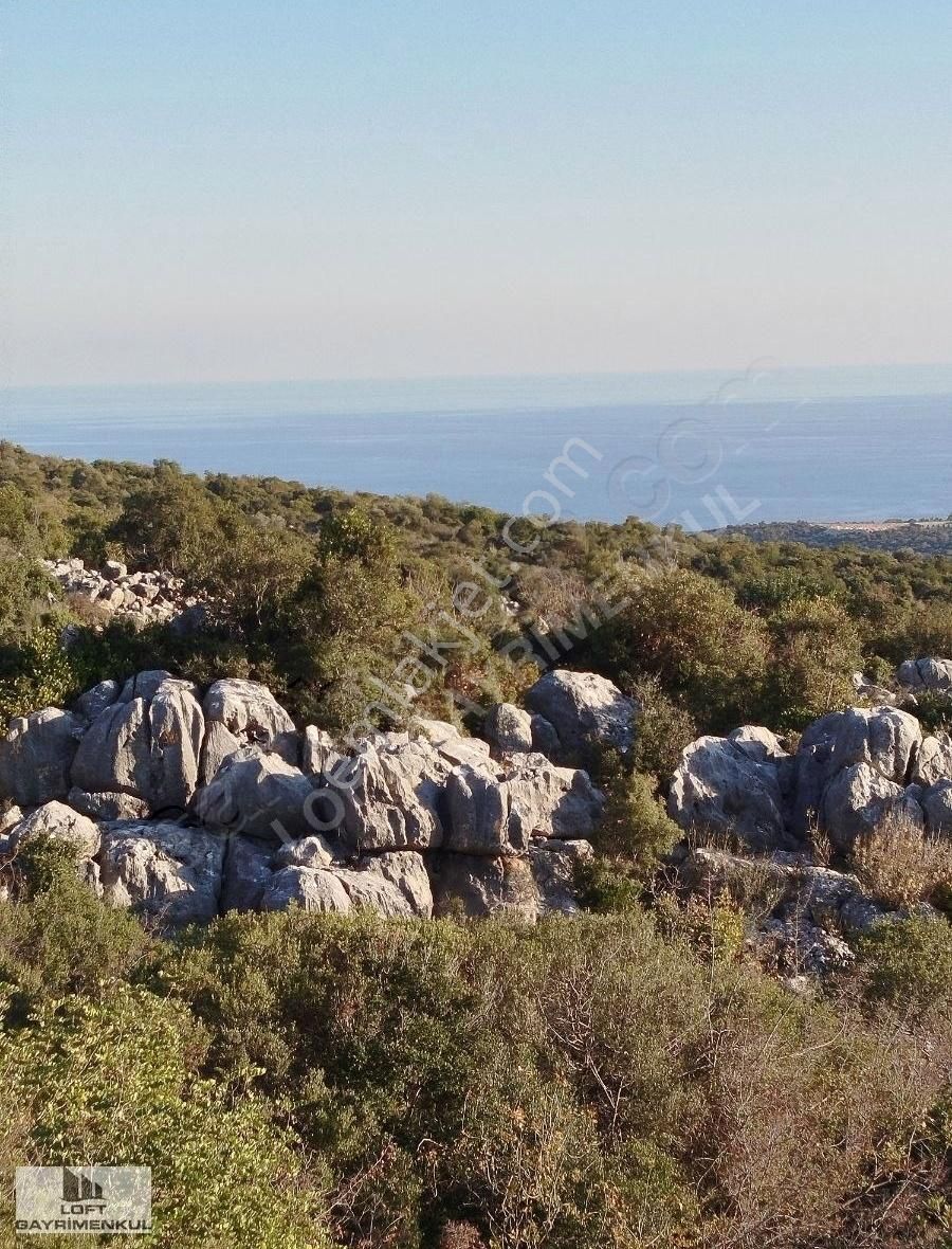 Silifke Hüseyinler Satılık Tarla Full Deniz Manzaralı Hemde Bu Fiyata