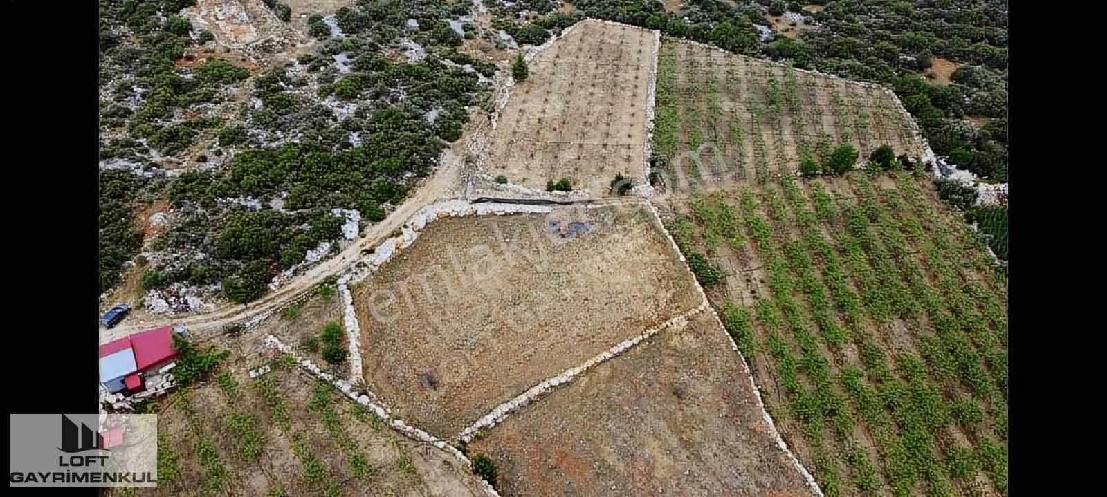 Silifke Hüseyinler Satılık Tarla On Numara Fırsat Manzaralı Tarla