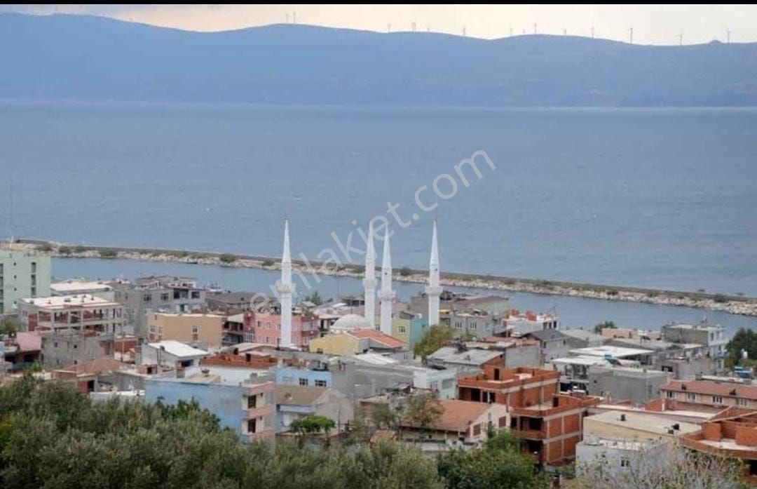 Erdek Karşıyaka Satılık Zeytinlik Erdek Karşıyaka