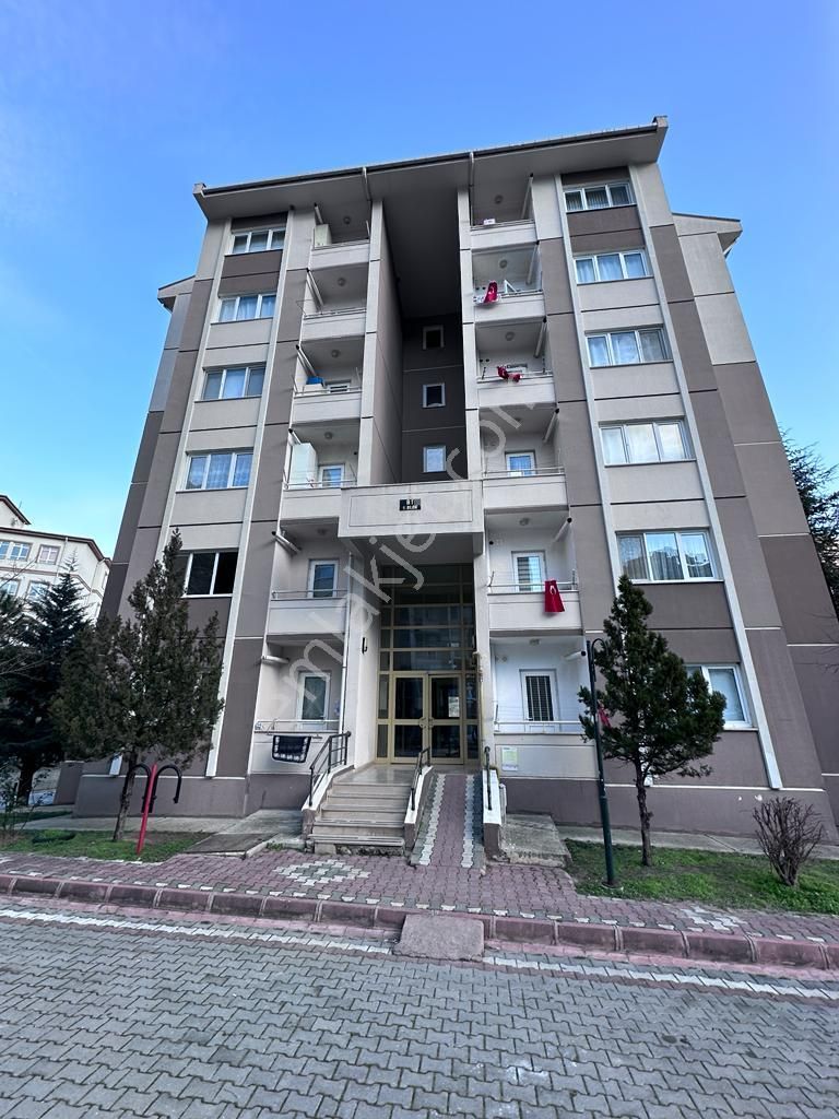 Amasya Merkez Ziyaret Bld. (Aşağı) Satılık Daire Sahibinden Tokide Acil Satılık Daire