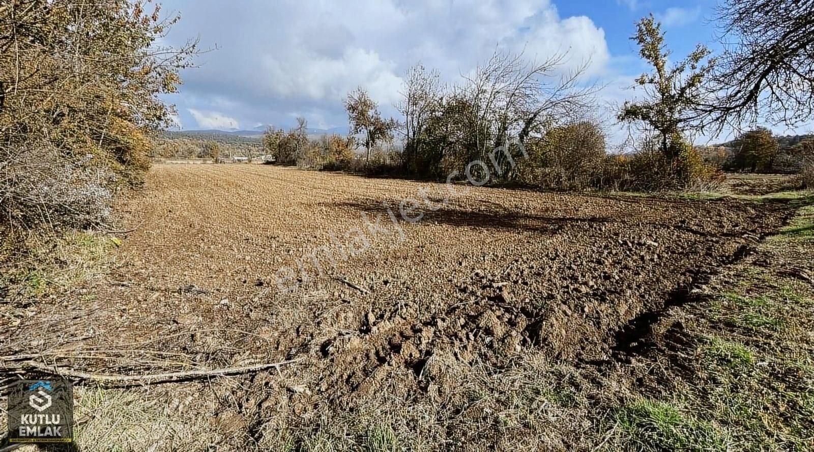 Bolu Merkez Ömerler Köyü Satılık Tarla Ömerler Köyü Yol Kenarı 2470 M2 Satılık Tarla